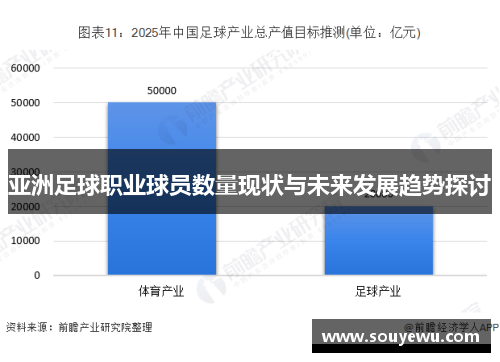 亚洲足球职业球员数量现状与未来发展趋势探讨