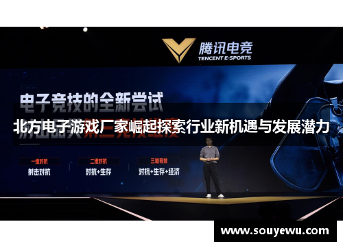 北方电子游戏厂家崛起探索行业新机遇与发展潜力