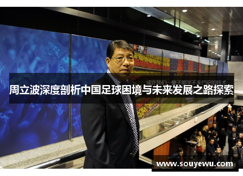 周立波深度剖析中国足球困境与未来发展之路探索