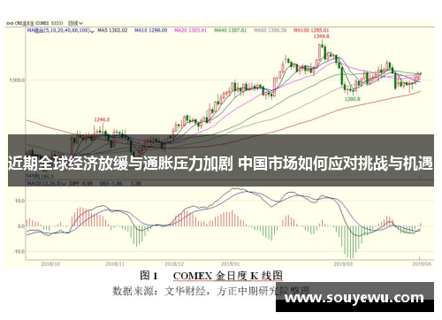 近期全球经济放缓与通胀压力加剧 中国市场如何应对挑战与机遇